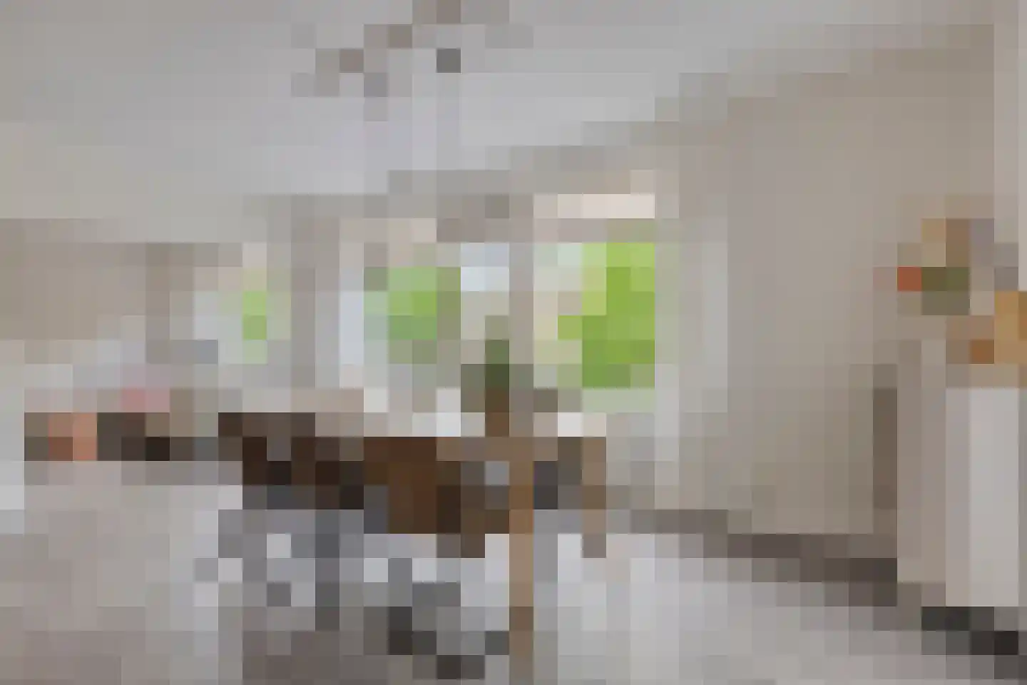Van Iddekingeweg 67 Groningen thumbnail 15