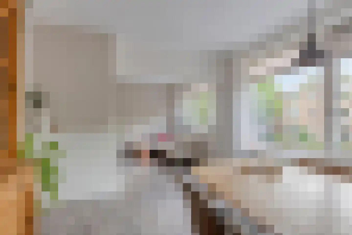 Van Iddekingeweg 67 Groningen thumbnail 16