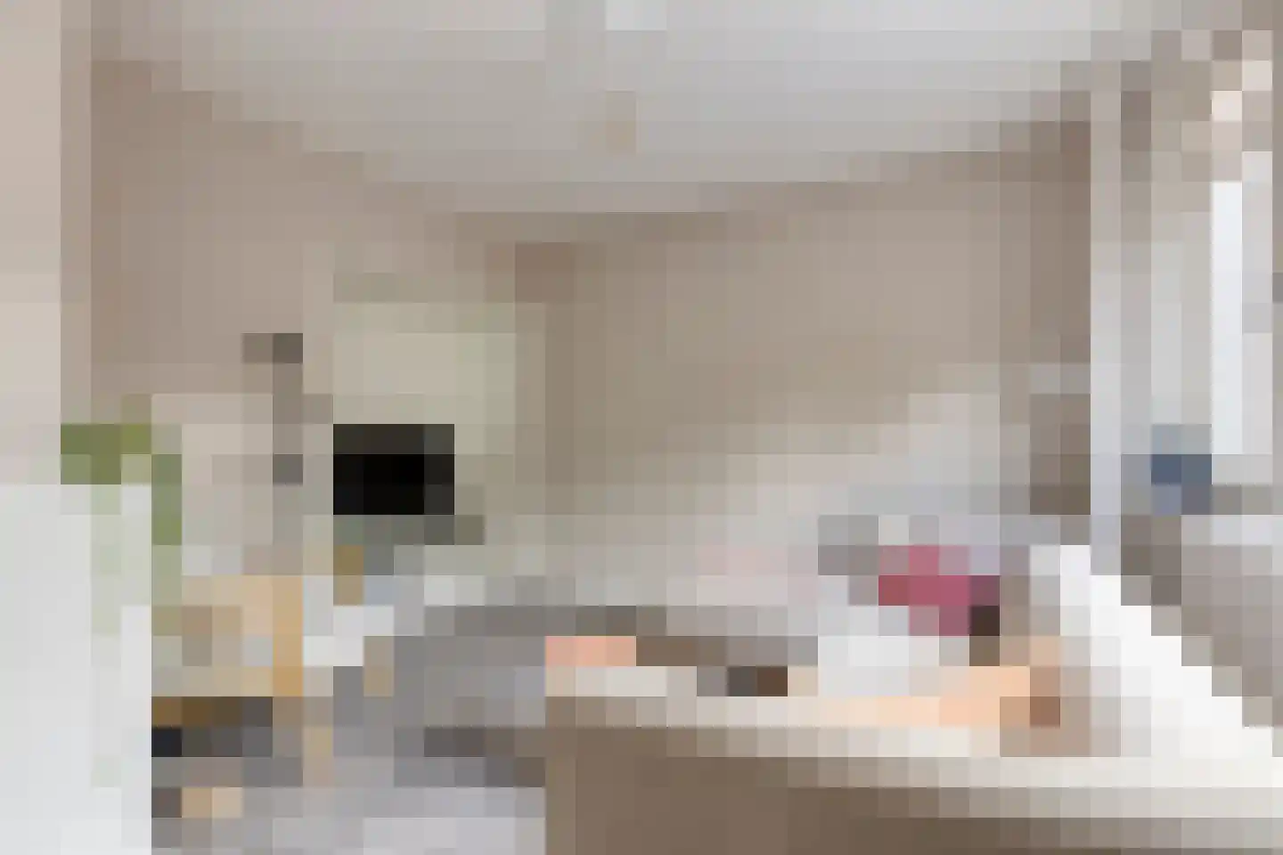 Van Iddekingeweg 67 Groningen thumbnail 18