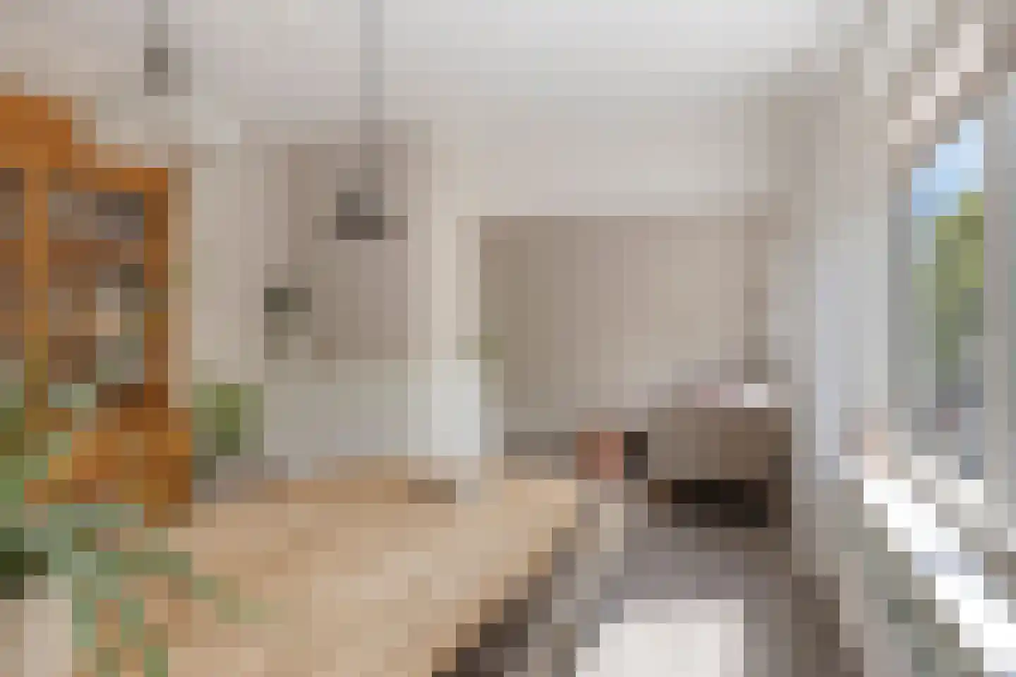 Van Iddekingeweg 67 Groningen thumbnail 20