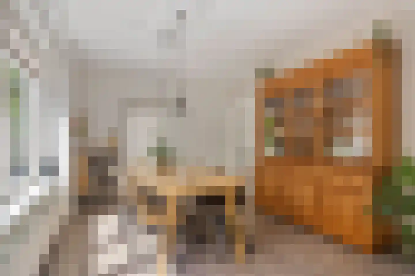 Van Iddekingeweg 67 Groningen thumbnail 21