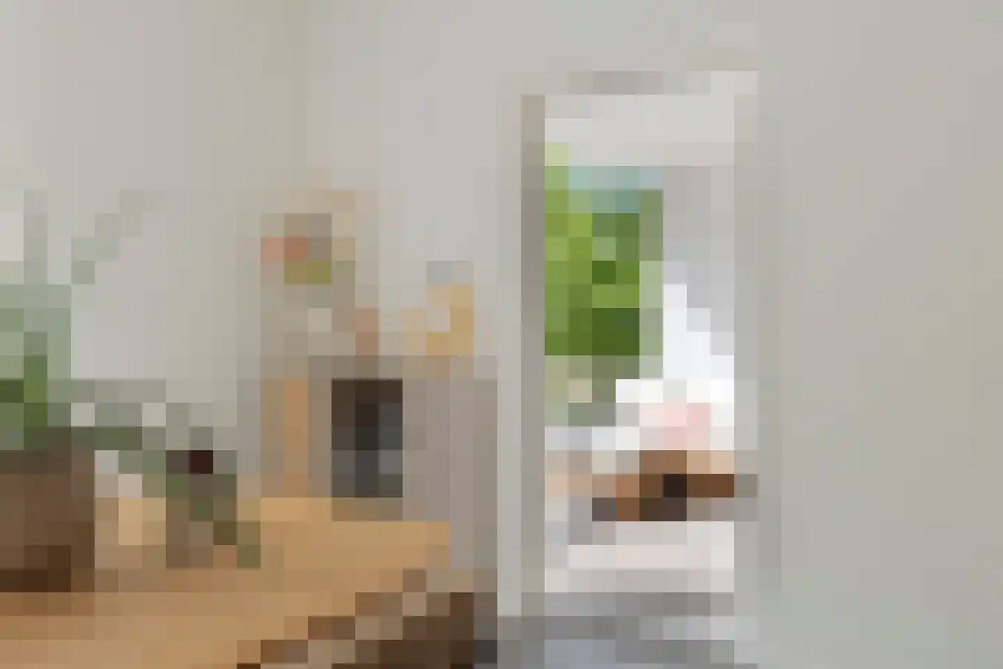 Van Iddekingeweg 67 Groningen thumbnail 23