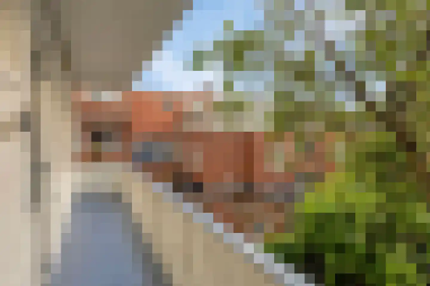 Van Iddekingeweg 67 Groningen thumbnail 36
