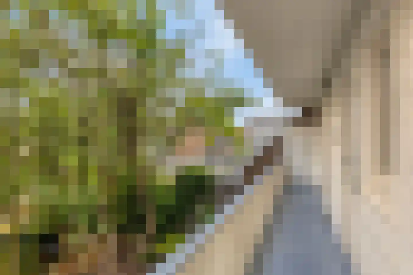Van Iddekingeweg 67 Groningen thumbnail 37