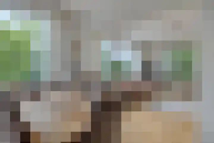 Van Iddekingeweg 73 Groningen thumbnail 15
