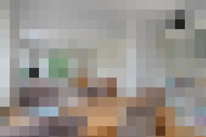 Van Iddekingeweg 73 Groningen thumbnail 16
