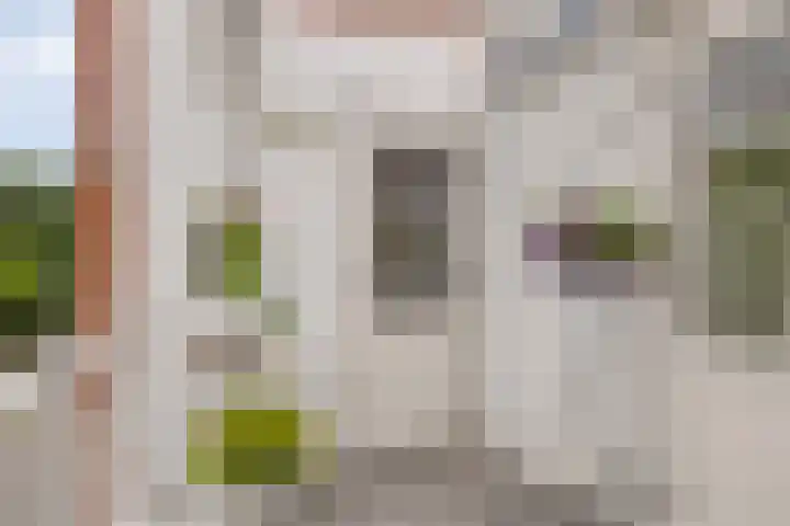 Van Iddekingeweg 73 Groningen thumbnail 17