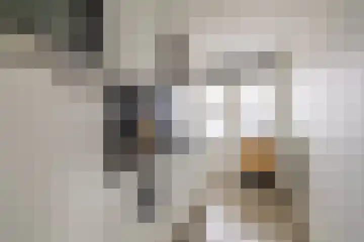 Van IJsendijkstraat 48 Purmerend thumbnail 5