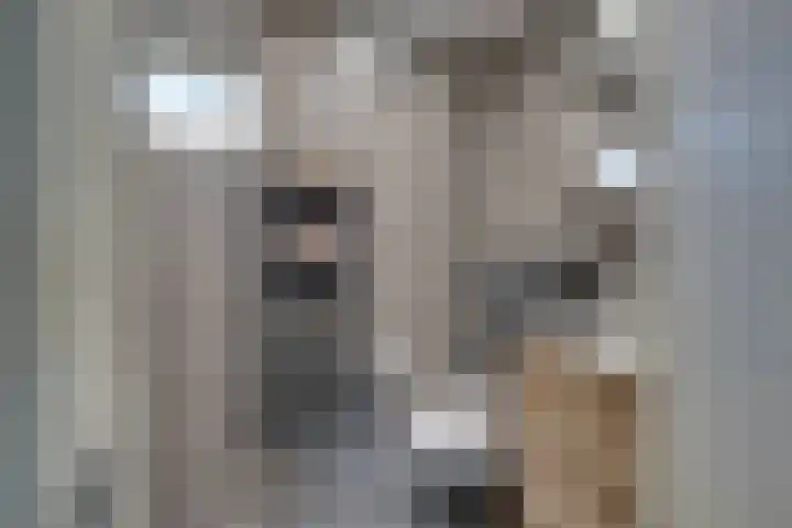 Van IJsendijkstraat 69 Purmerend thumbnail 30
