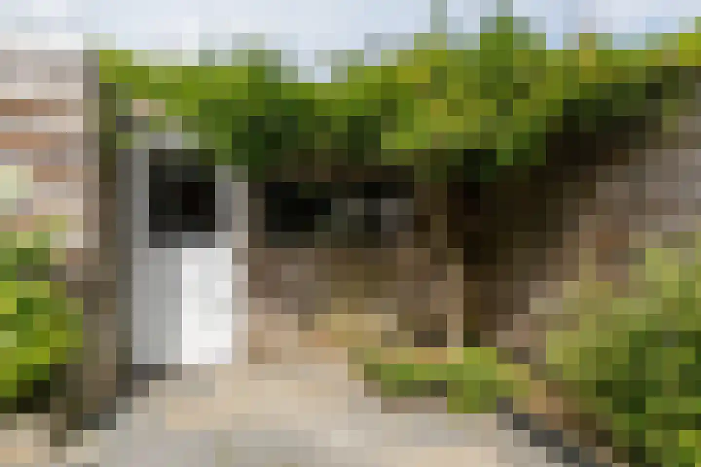 Van IJsendijkstraat 87 Purmerend thumbnail 40