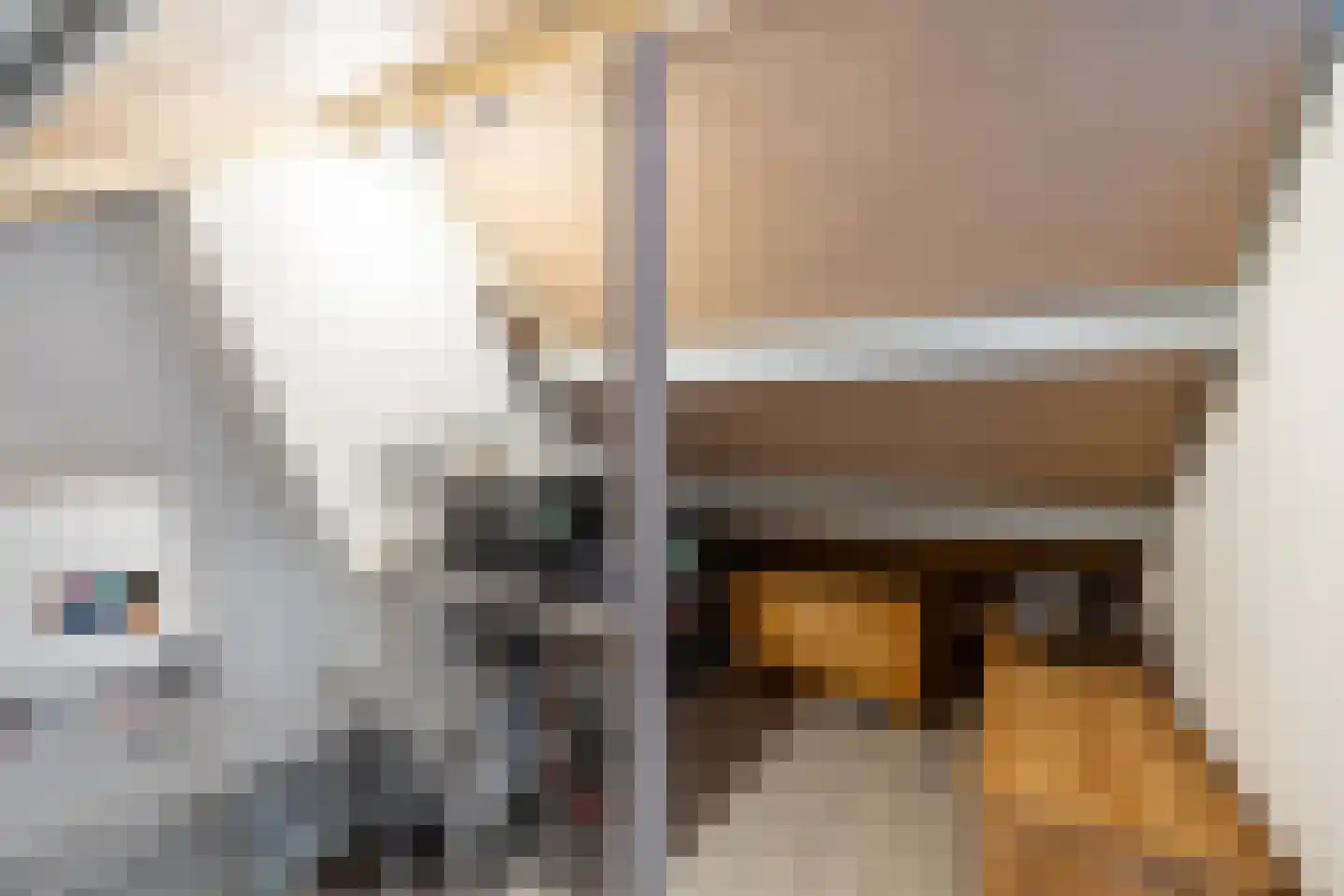 Van IJsendijkstraat 91 Purmerend thumbnail 37