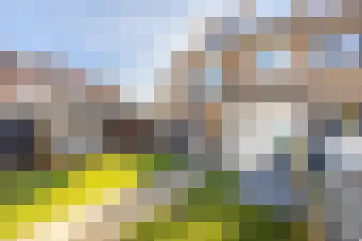 Van IJsendijkstraat 91 Purmerend thumbnail 42