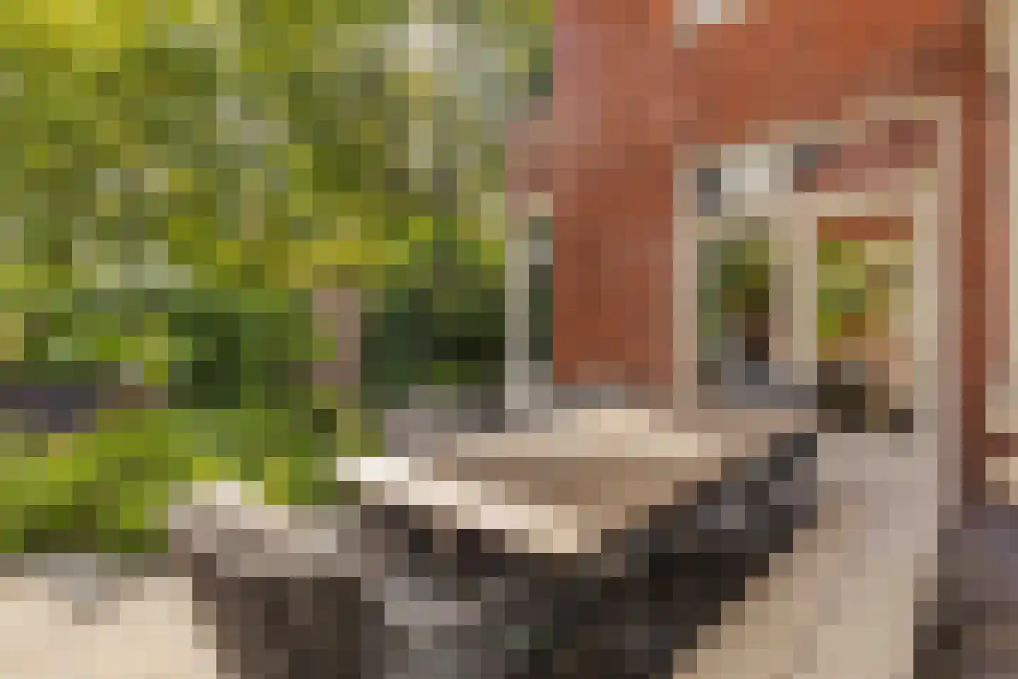 Van IJsselsteinlaan 42 Amstelveen thumbnail 24