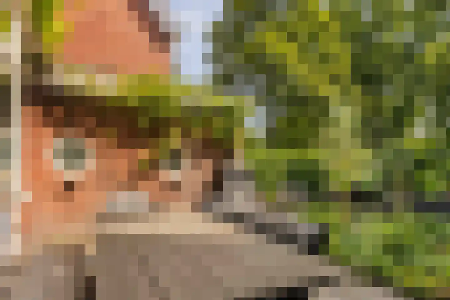 Van IJsselsteinlaan 42 Amstelveen thumbnail 25