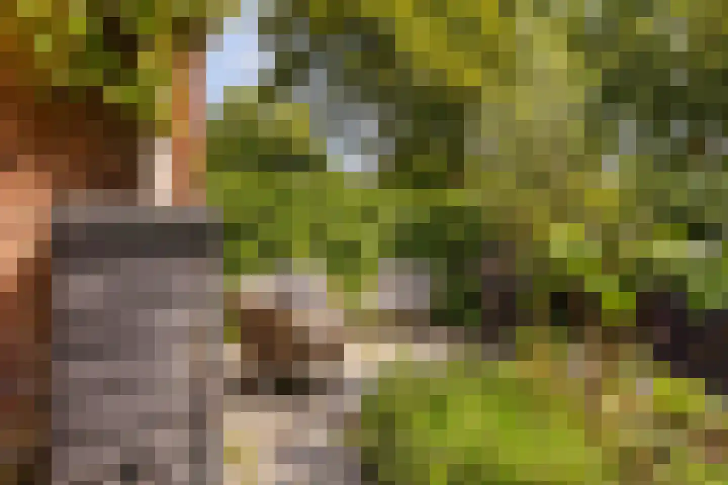 Van IJsselsteinlaan 42 Amstelveen thumbnail 27