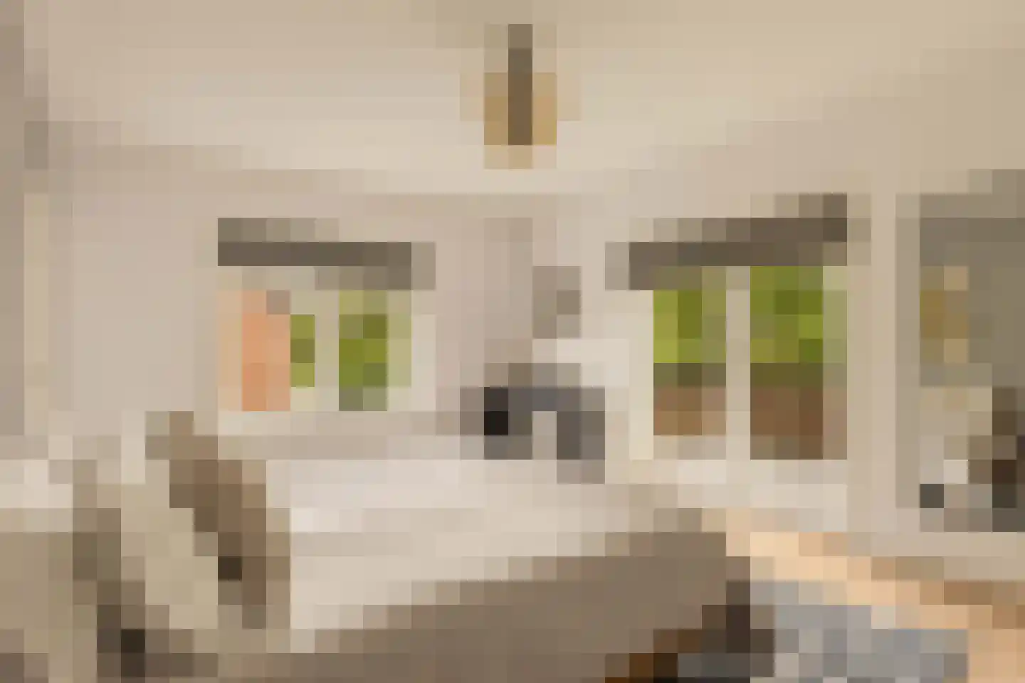 Van IJsselsteinlaan 42 Amstelveen thumbnail 31