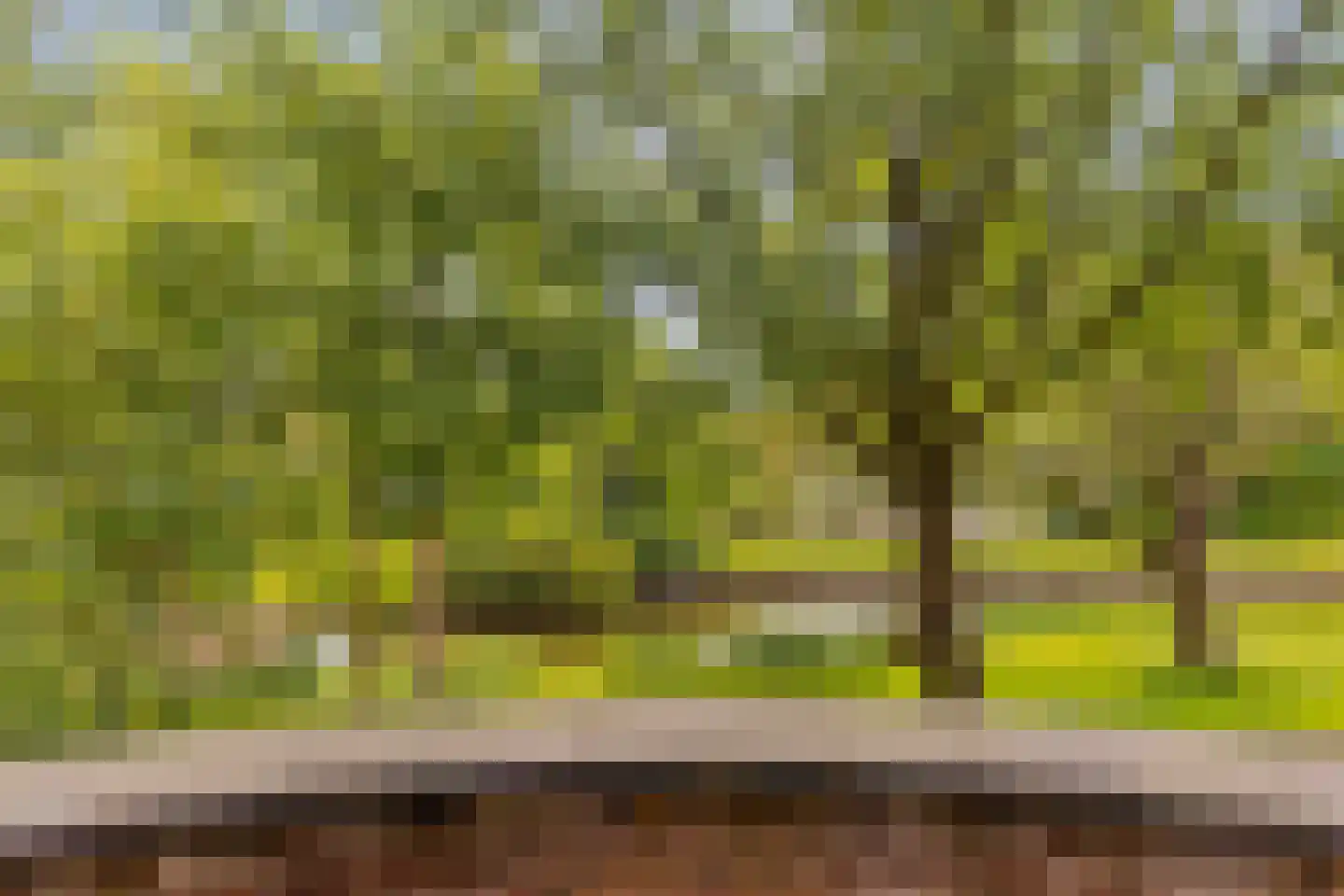 Van IJsselsteinlaan 42 Amstelveen thumbnail 34