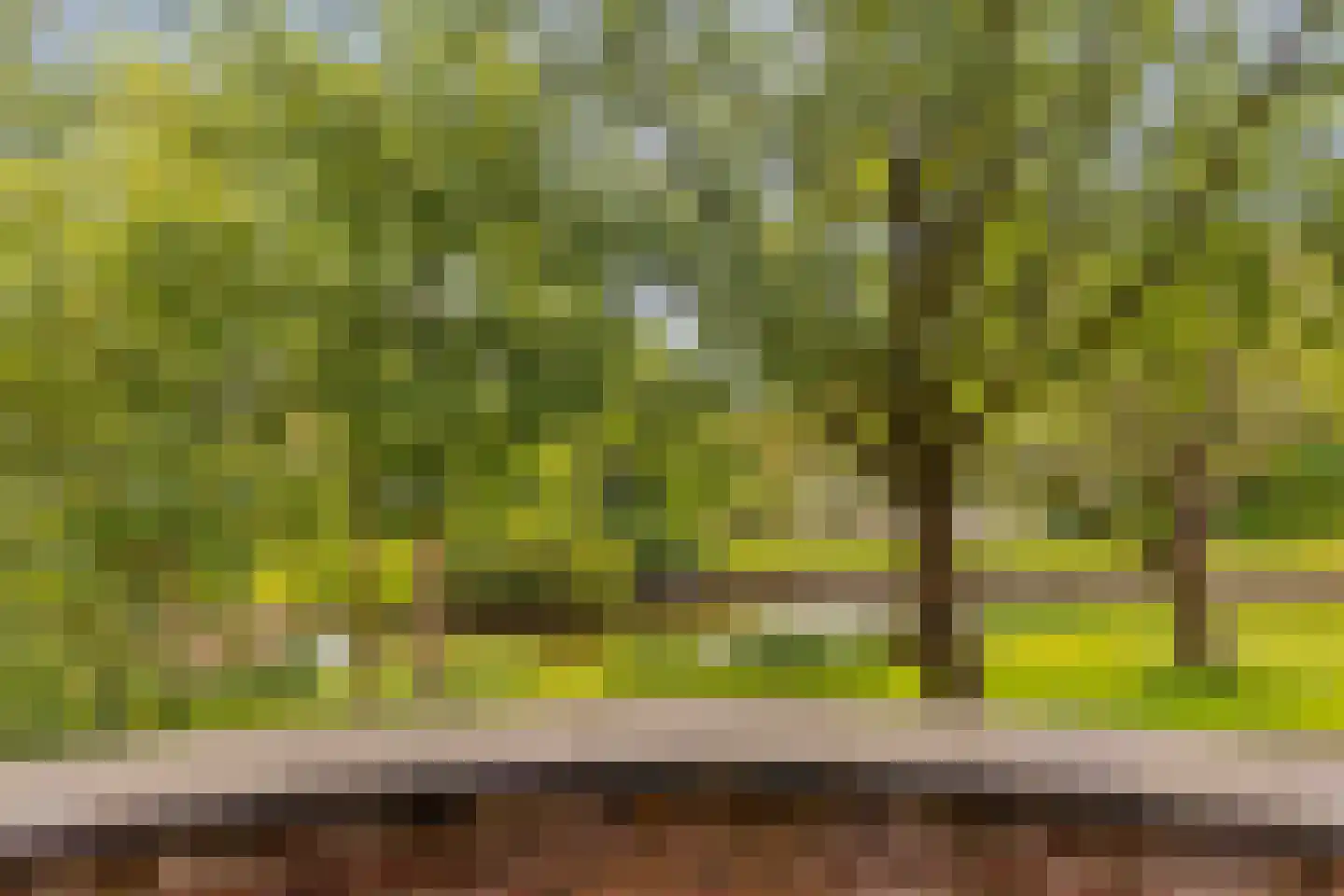 Van IJsselsteinlaan 42 Amstelveen thumbnail 34