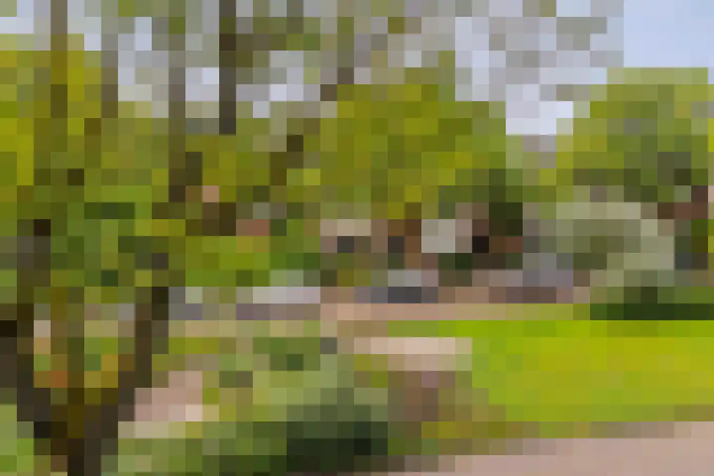 Van IJsselsteinlaan 42 Amstelveen thumbnail 49