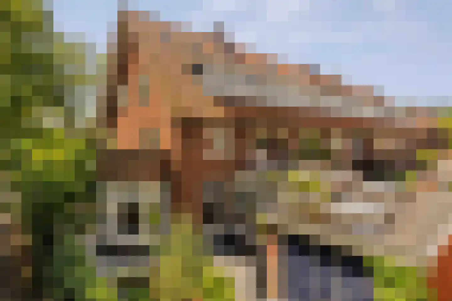 Van IJsselsteinlaan 42 Amstelveen thumbnail 60