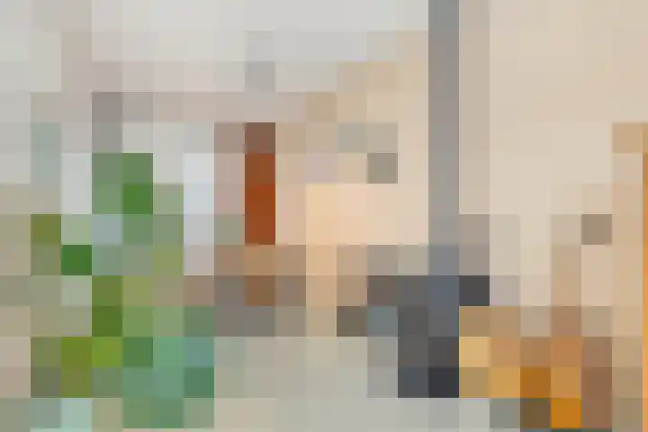 Van Imhoffstraat 12 Utrecht thumbnail 10