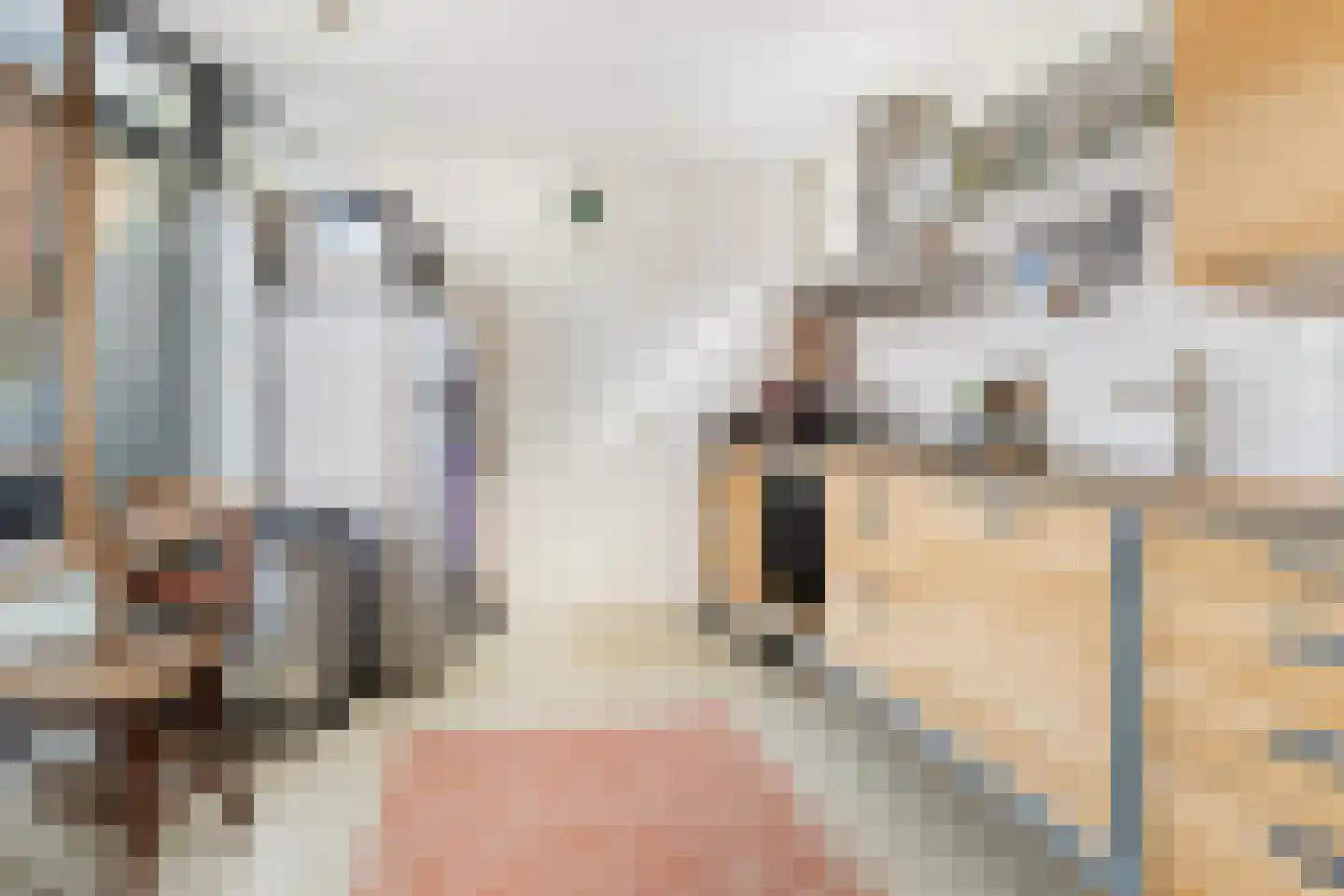 Van Imhoffstraat 12 Utrecht thumbnail 16