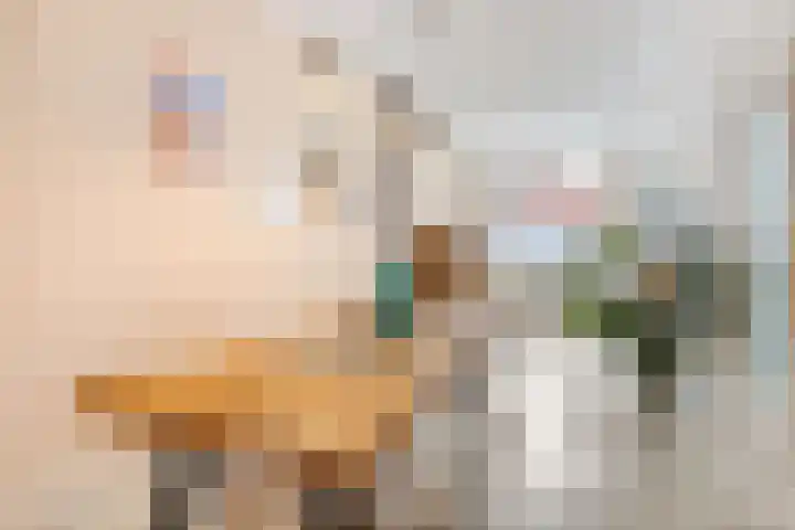 Van Imhoffstraat 12 Utrecht thumbnail 8