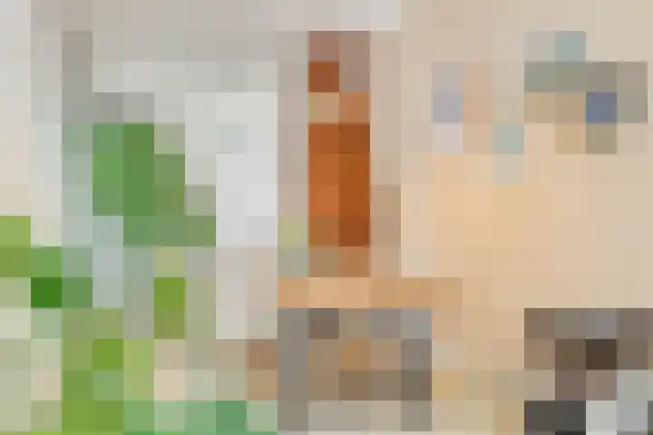 Van Imhoffstraat 12 Utrecht thumbnail 9