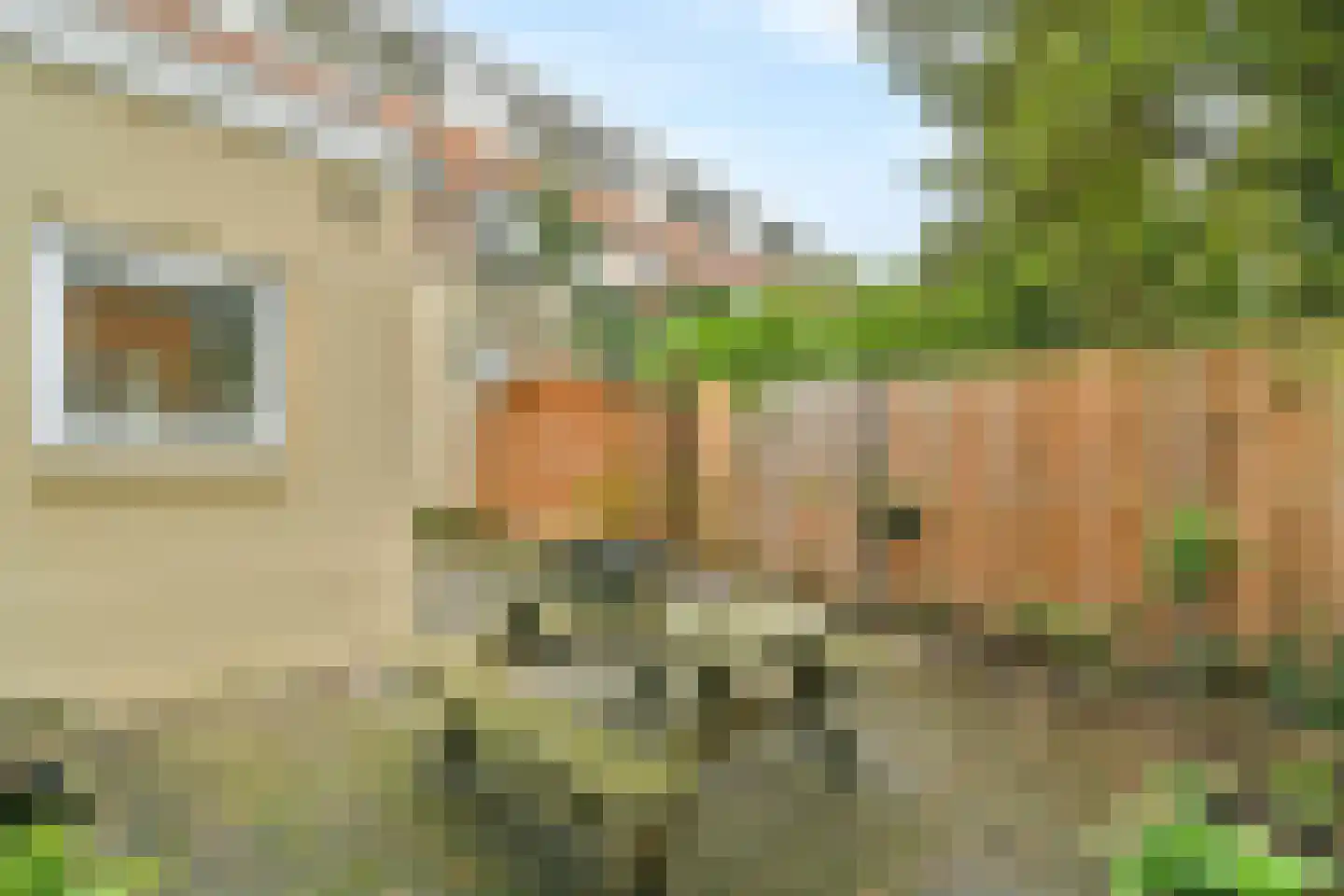 Van Imhoffstraat 21 Utrecht thumbnail 17