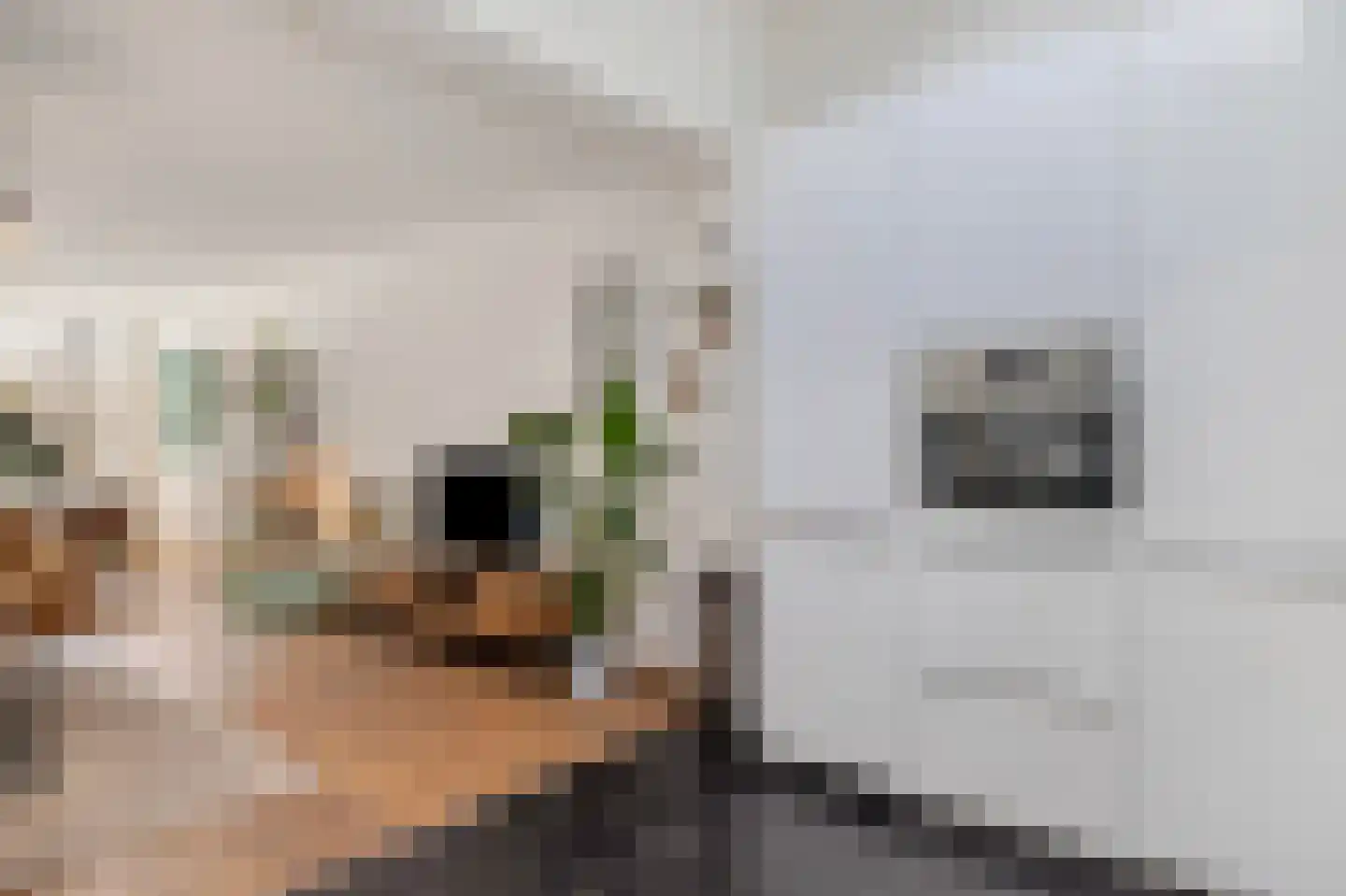 Van Imhoffstraat 3 Utrecht thumbnail 27