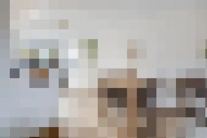 Van Imhoffstraat 3 Utrecht thumbnail 34