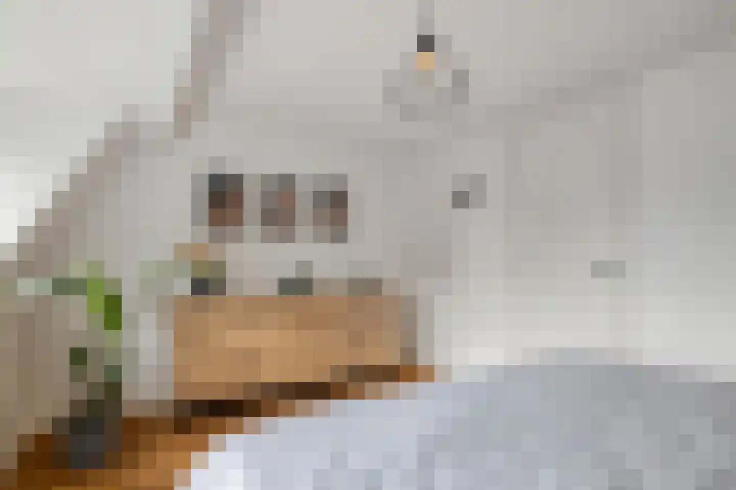Van Imhoffstraat 3 Utrecht thumbnail 36