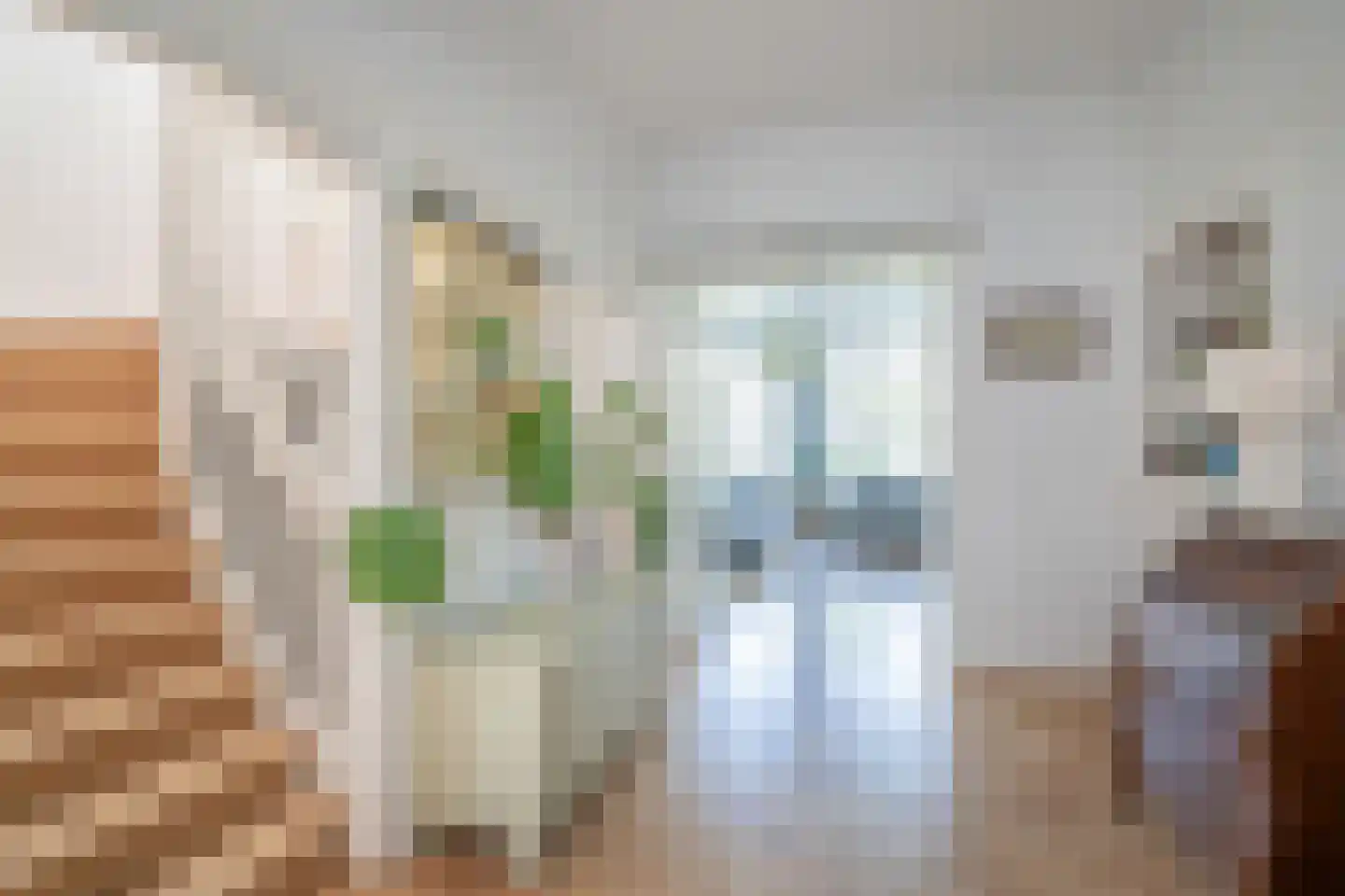Van Imhoffstraat 34 Den Haag thumbnail 18