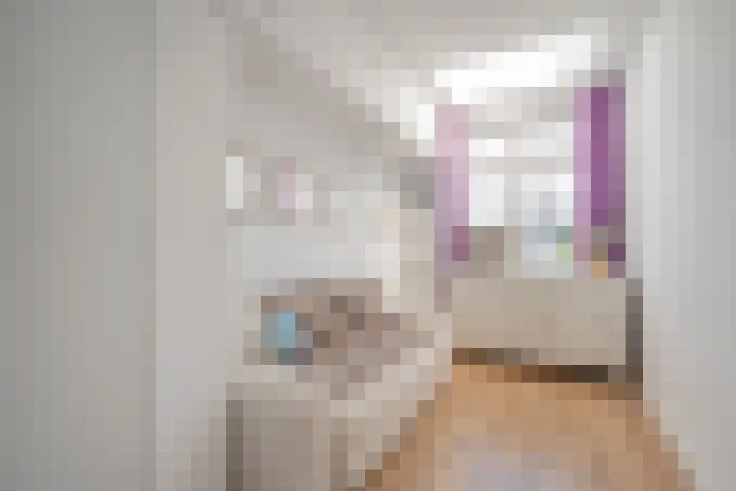 Van Imhoffstraat 34 Den Haag thumbnail 39