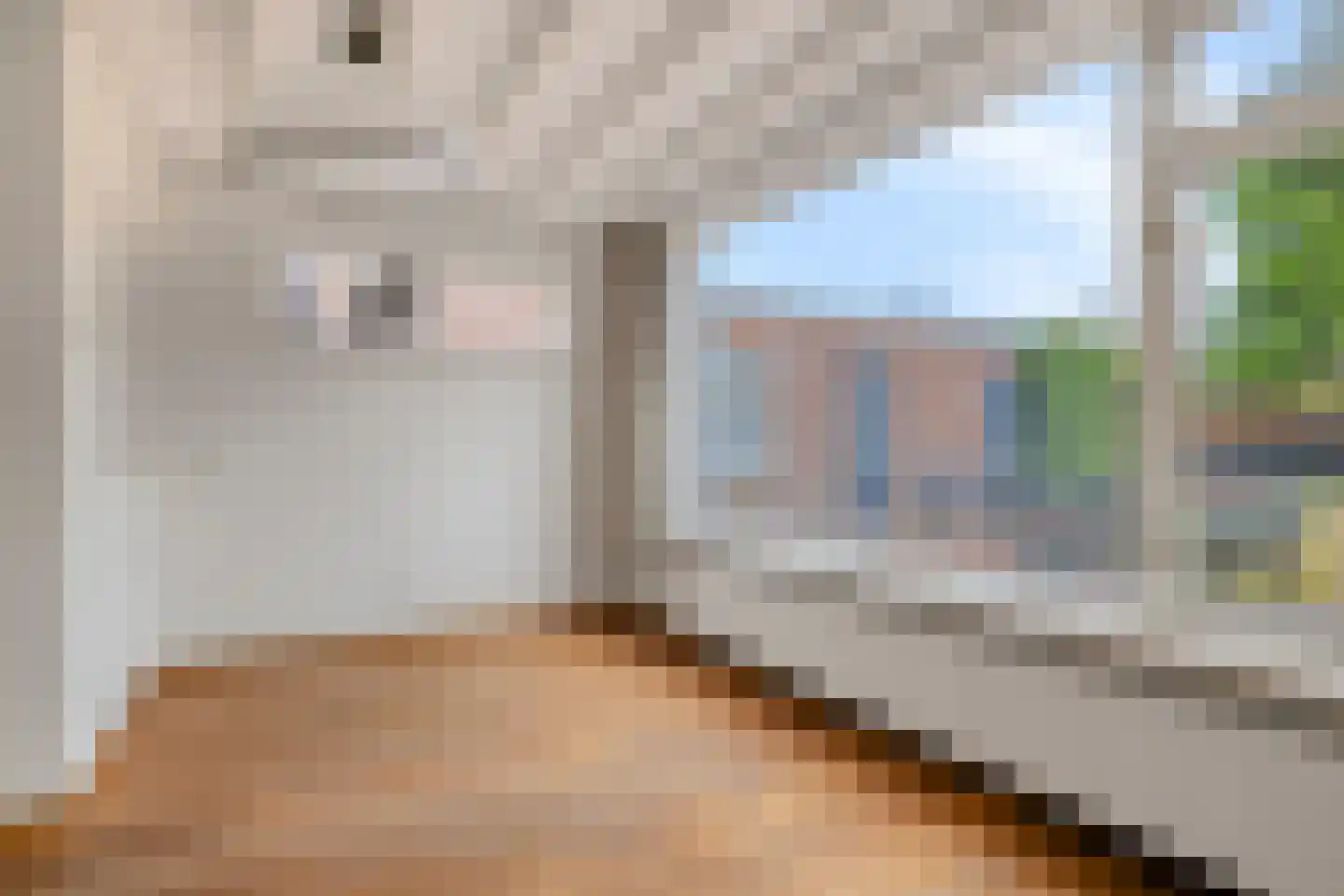 van Immerseelstraat 12 Loon op Zand thumbnail 11