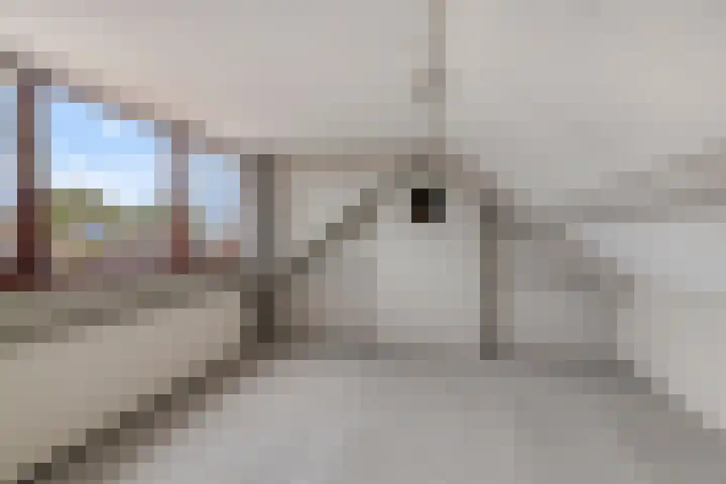 van Immerseelstraat 12 Loon op Zand thumbnail 22