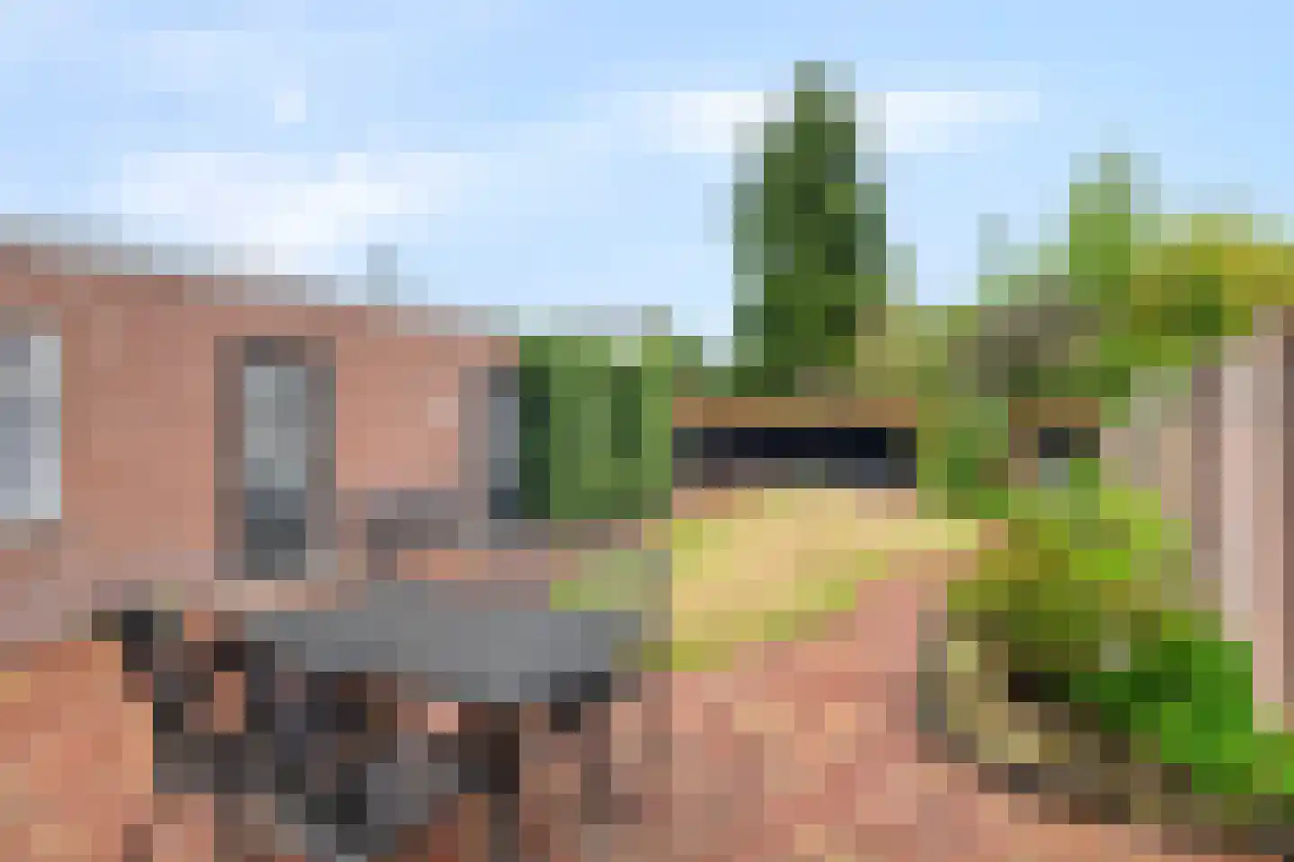 van Immerseelstraat 12 Loon op Zand thumbnail 25