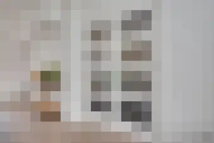 van Immerseelstraat 21 Loon op Zand thumbnail 10