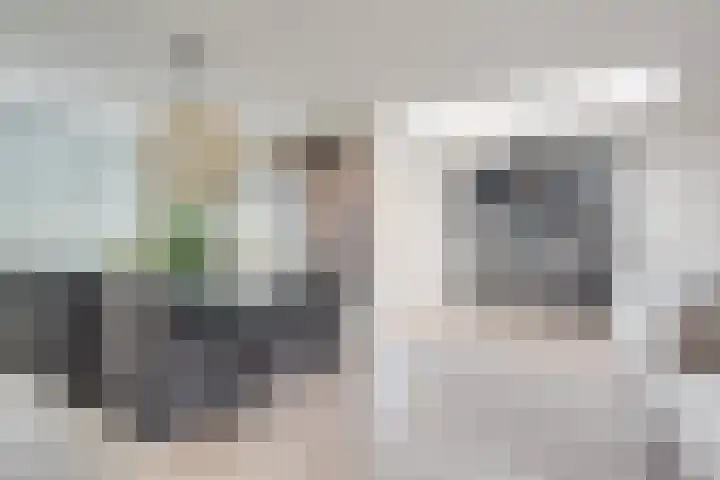 van Immerseelstraat 21 Loon op Zand thumbnail 13