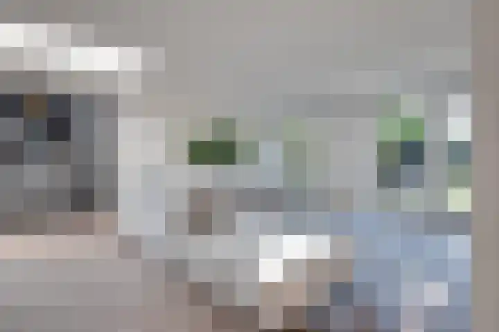 van Immerseelstraat 21 Loon op Zand thumbnail 14