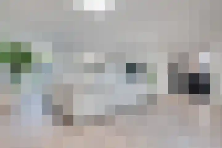van Immerseelstraat 21 Loon op Zand thumbnail 17