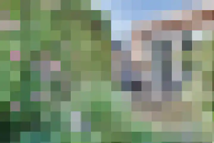 van Immerseelstraat 21 Loon op Zand thumbnail 20