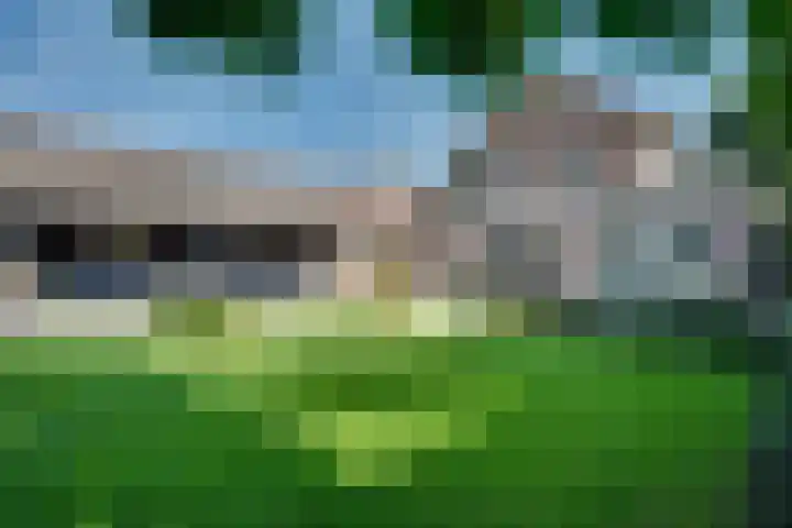 van Immerseelstraat 21 Loon op Zand thumbnail 31