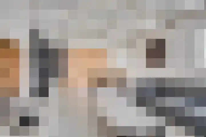 van Immerseelstraat 21 Loon op Zand thumbnail 33