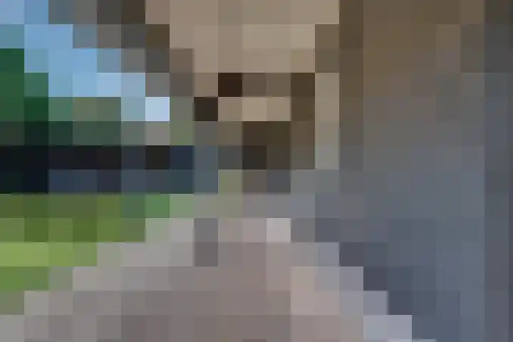 van Immerseelstraat 21 Loon op Zand thumbnail 37