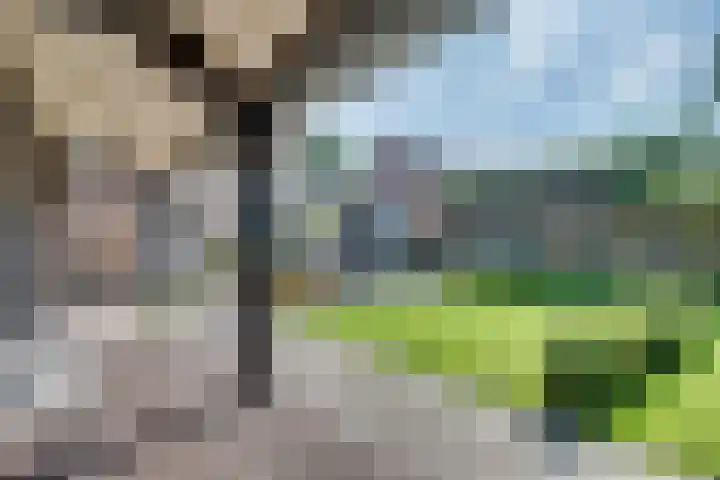 van Immerseelstraat 21 Loon op Zand thumbnail 38