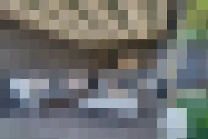 van Immerseelstraat 21 Loon op Zand thumbnail 40