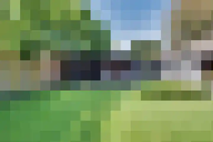 van Immerseelstraat 21 Loon op Zand thumbnail 45