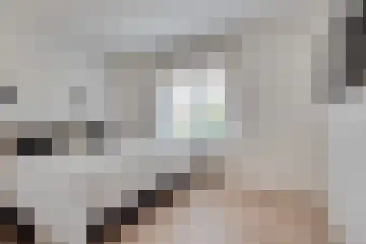 van Immerseelstraat 21 Loon op Zand thumbnail 51