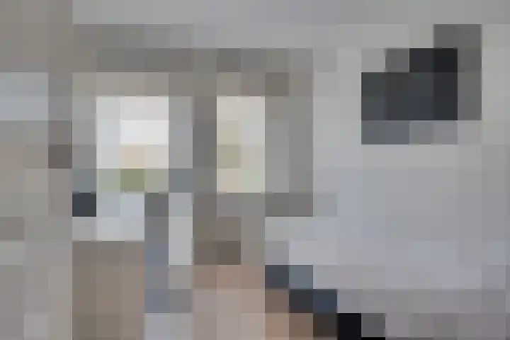 van Immerseelstraat 21 Loon op Zand thumbnail 53